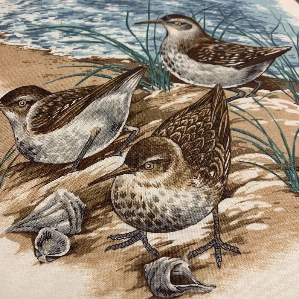 Unknown bird evoke sea